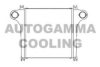 AUTOGAMMA 105501 Intercooler, charger